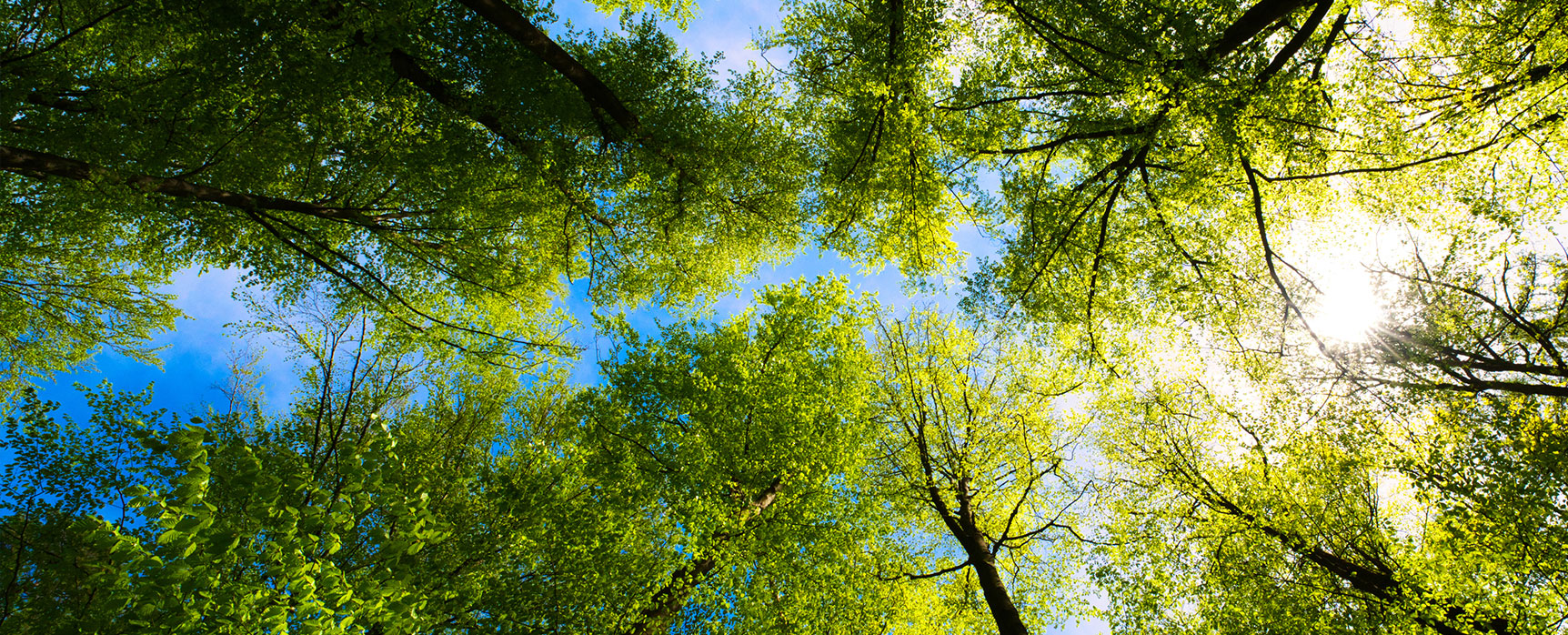 Hero Banner International Liability Insurance