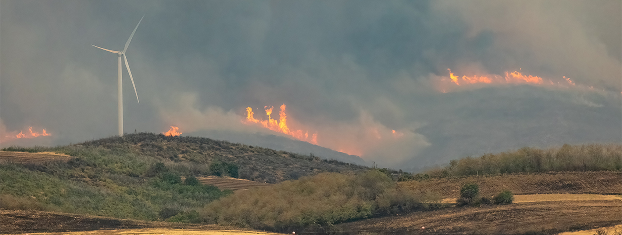 Image banner Wildfires and the resilience of critical infrastructure